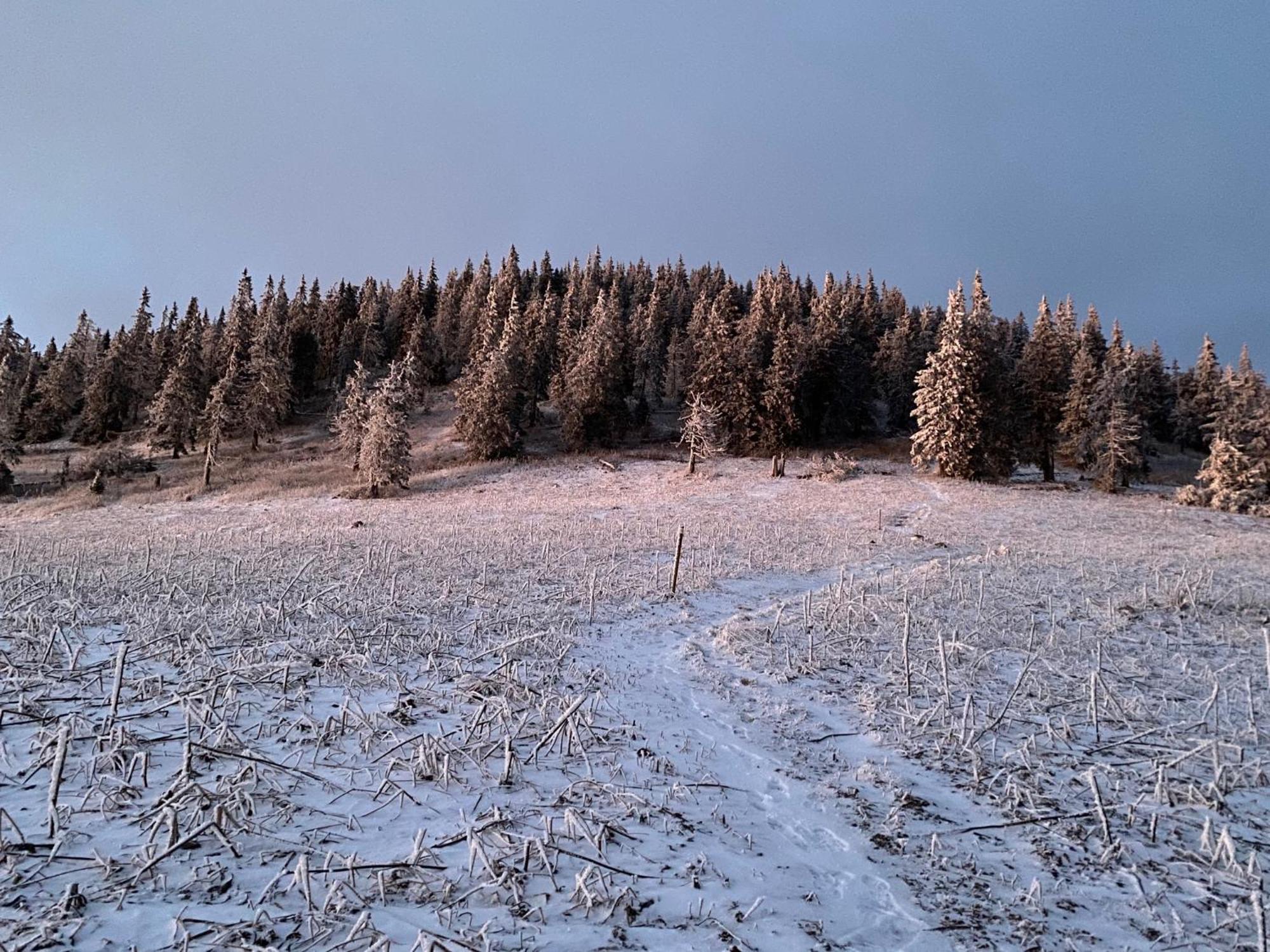 Drevenica Emilka - Nízke Tatry - Muran - Pre Rodiny Brezno Exterior foto
