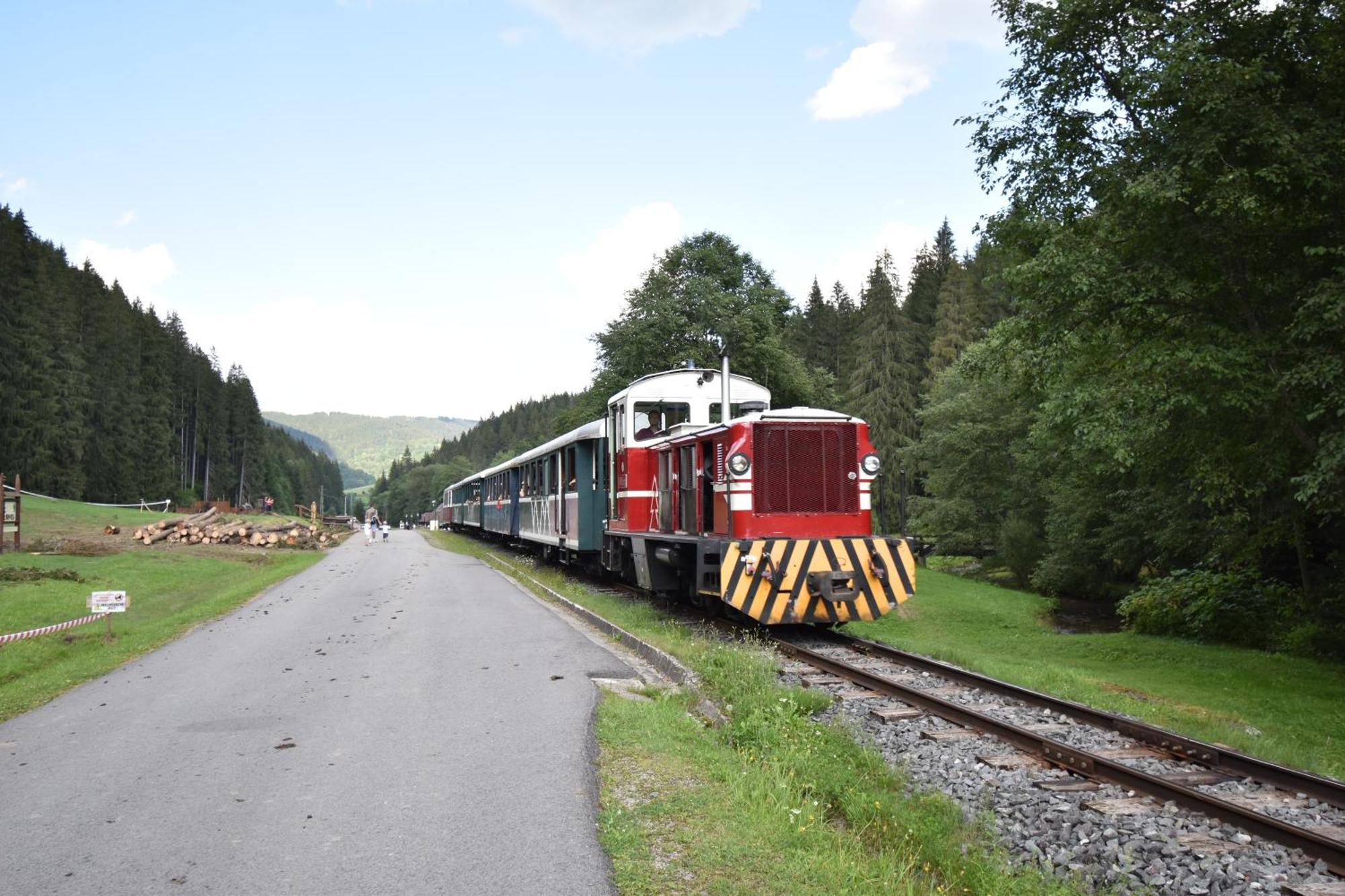Drevenica Emilka - Nízke Tatry - Muran - Pre Rodiny Brezno Exterior foto
