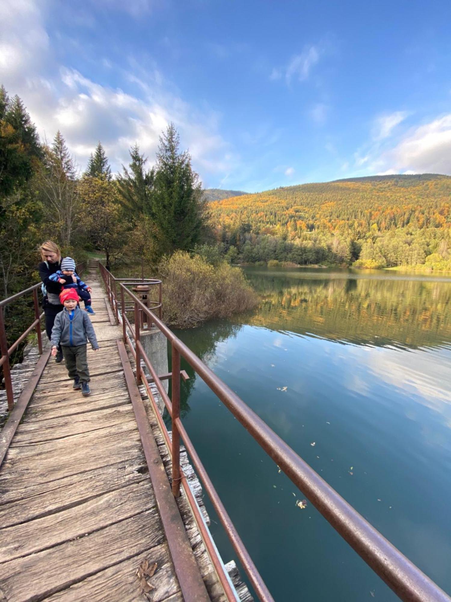 Drevenica Emilka - Nízke Tatry - Muran - Pre Rodiny Brezno Exterior foto